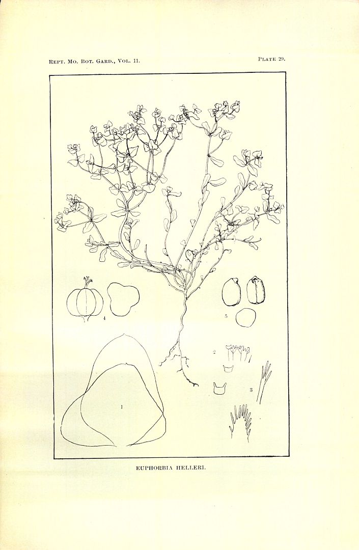 no HD illustration available (m5)