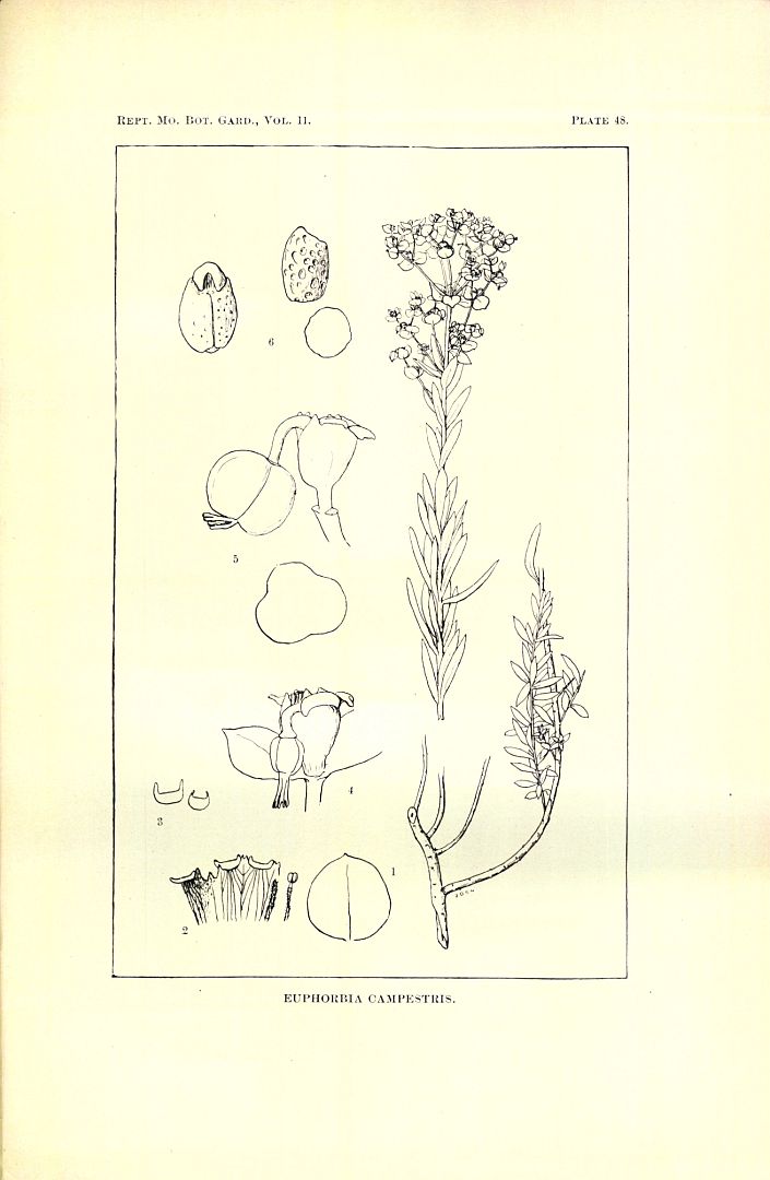 no HD illustration available (m5)