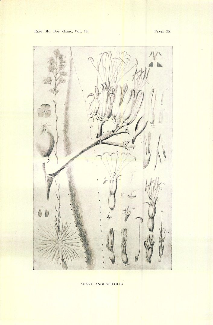 no HD illustration available (m5)