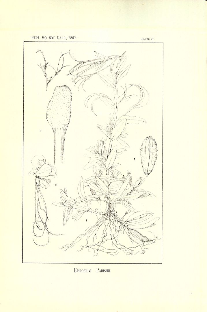 no HD illustration available (m5)