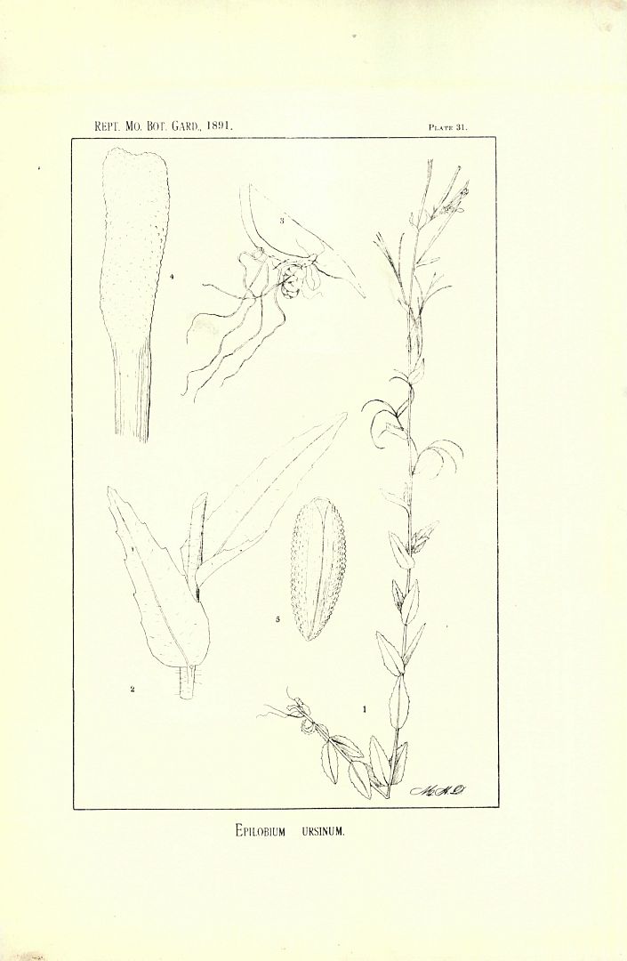 no HD illustration available (m5)