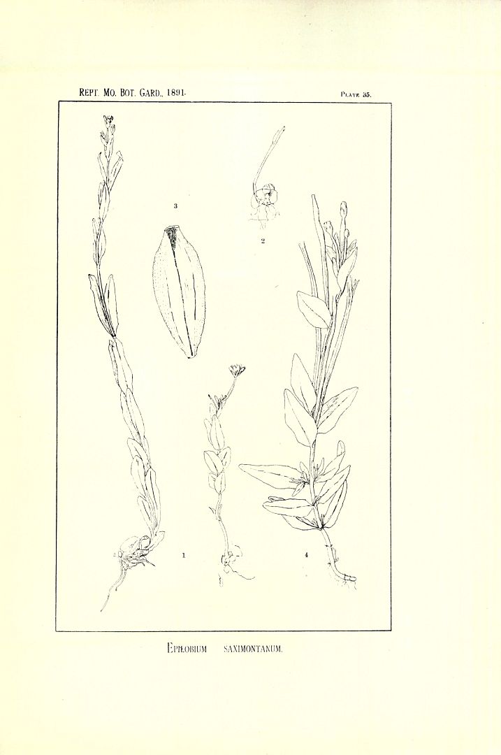 no HD illustration available (m5)