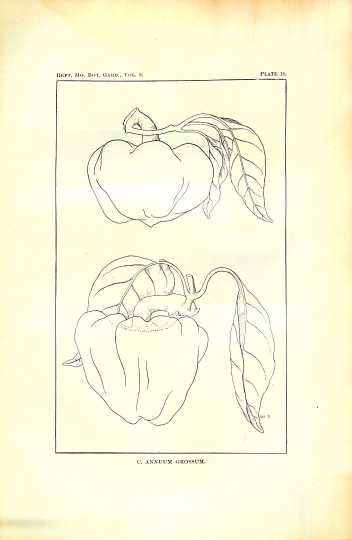 no HD illustration available (m5)
