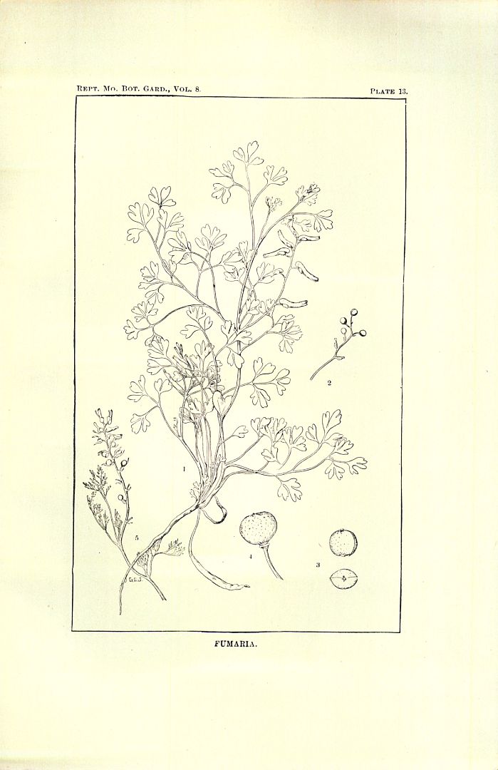 no HD illustration available (m5)
