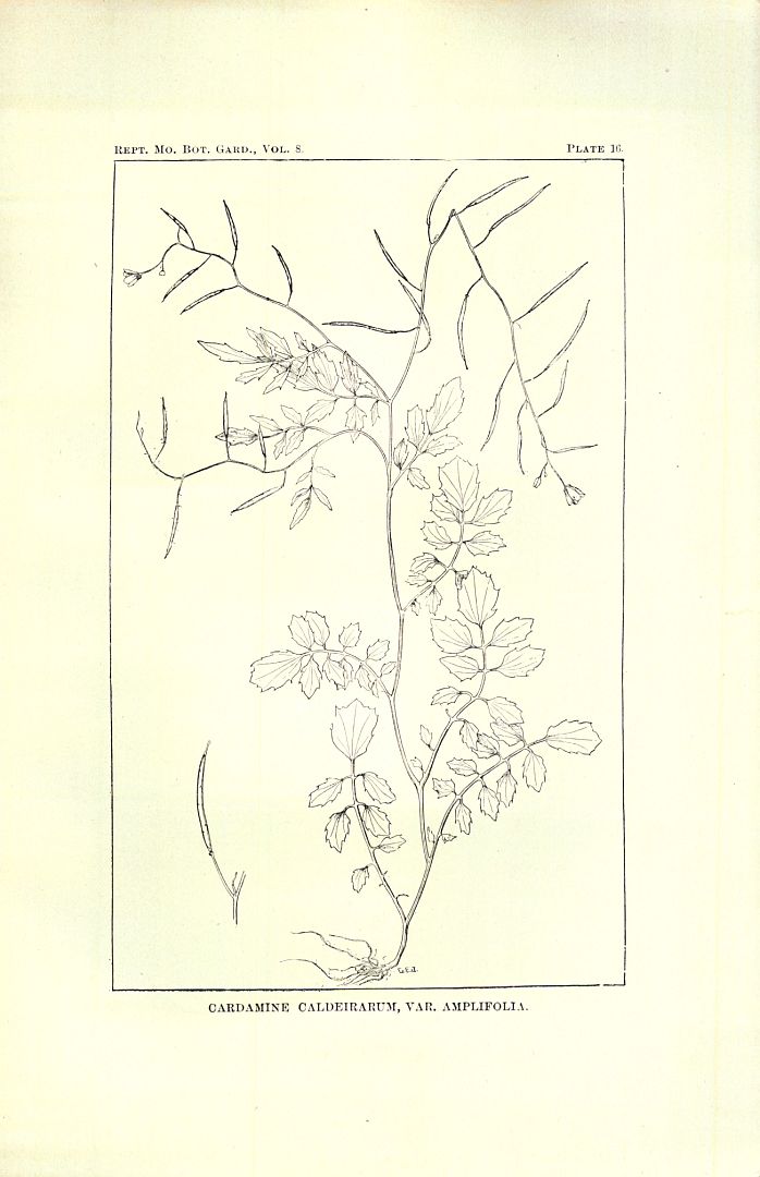 no HD illustration available (m5)