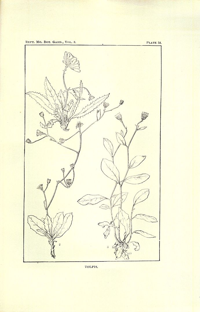 no HD illustration available (m5)