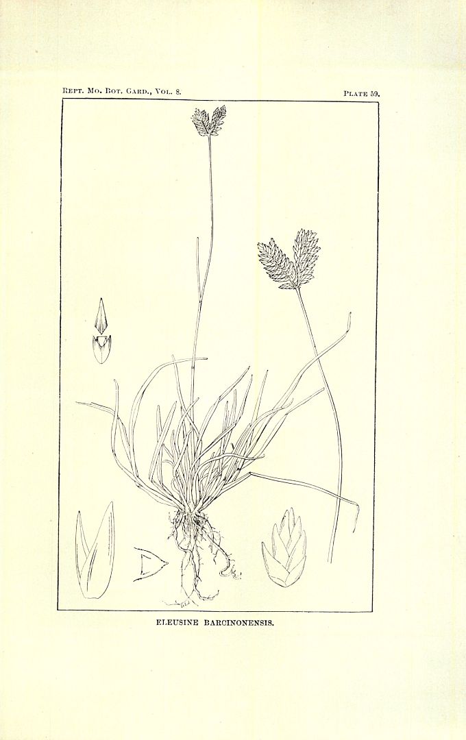 no HD illustration available (m5)