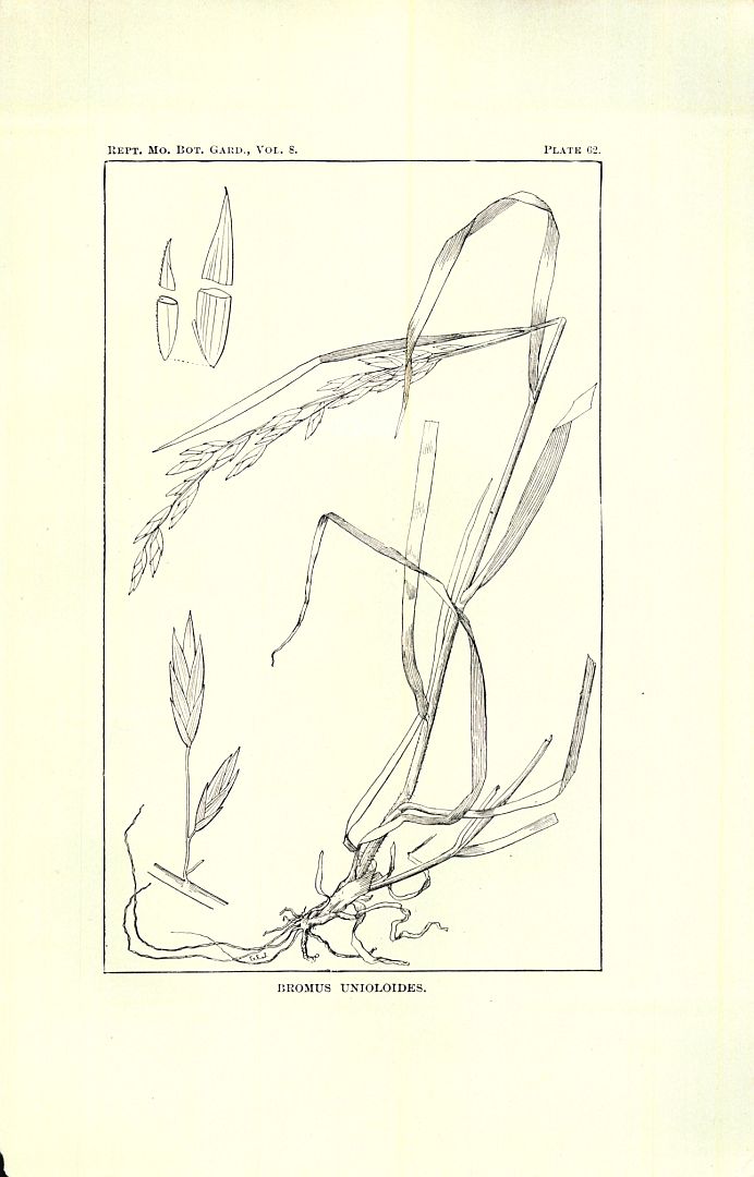 no HD illustration available (m5)