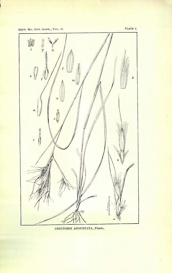 no HD illustration available (m5)