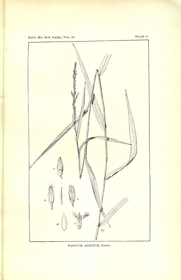 no HD illustration available (m5)