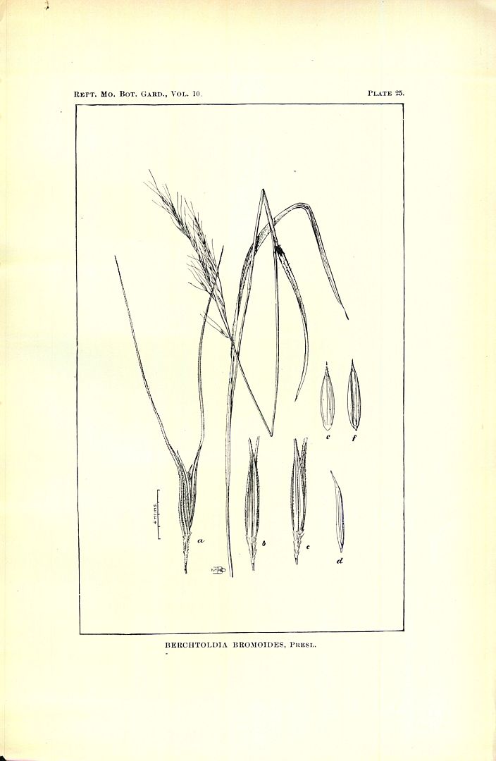 no HD illustration available (m5)
