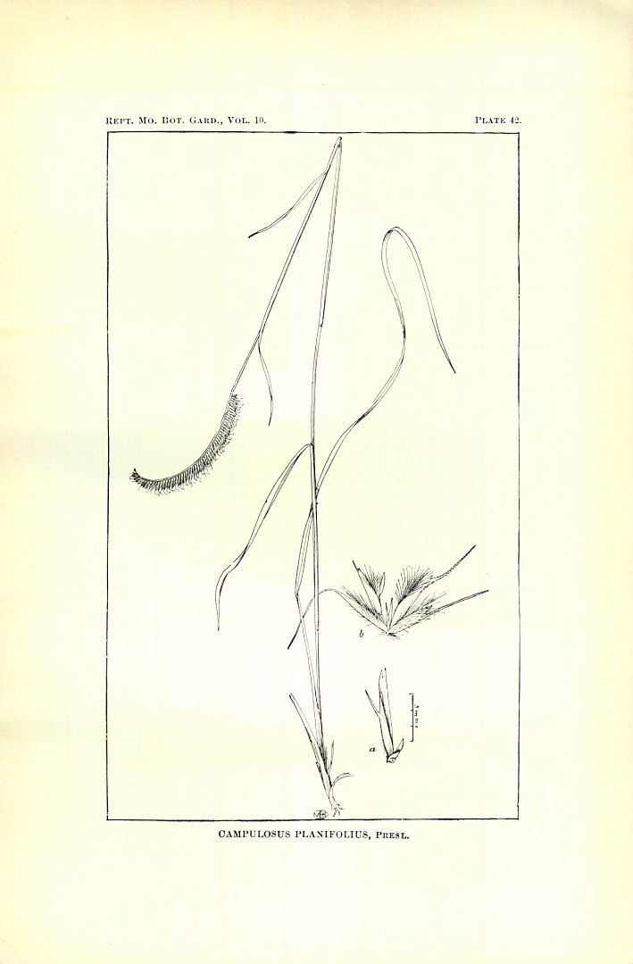 no HD illustration available (m5)