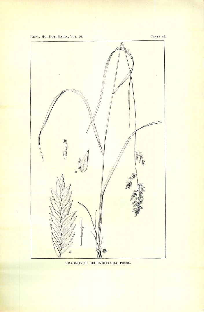 no HD illustration available (m5)