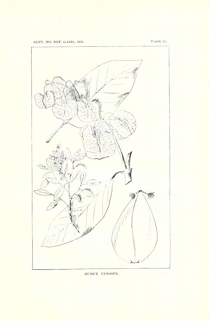 no HD illustration available (m5)