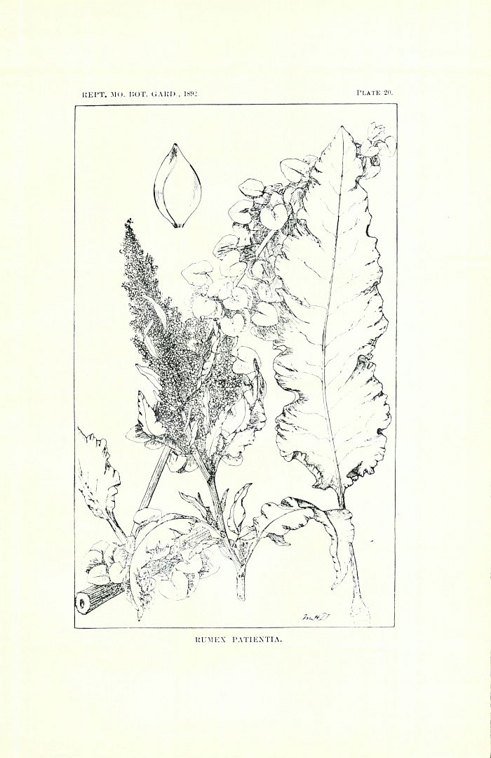 no HD illustration available (m5)