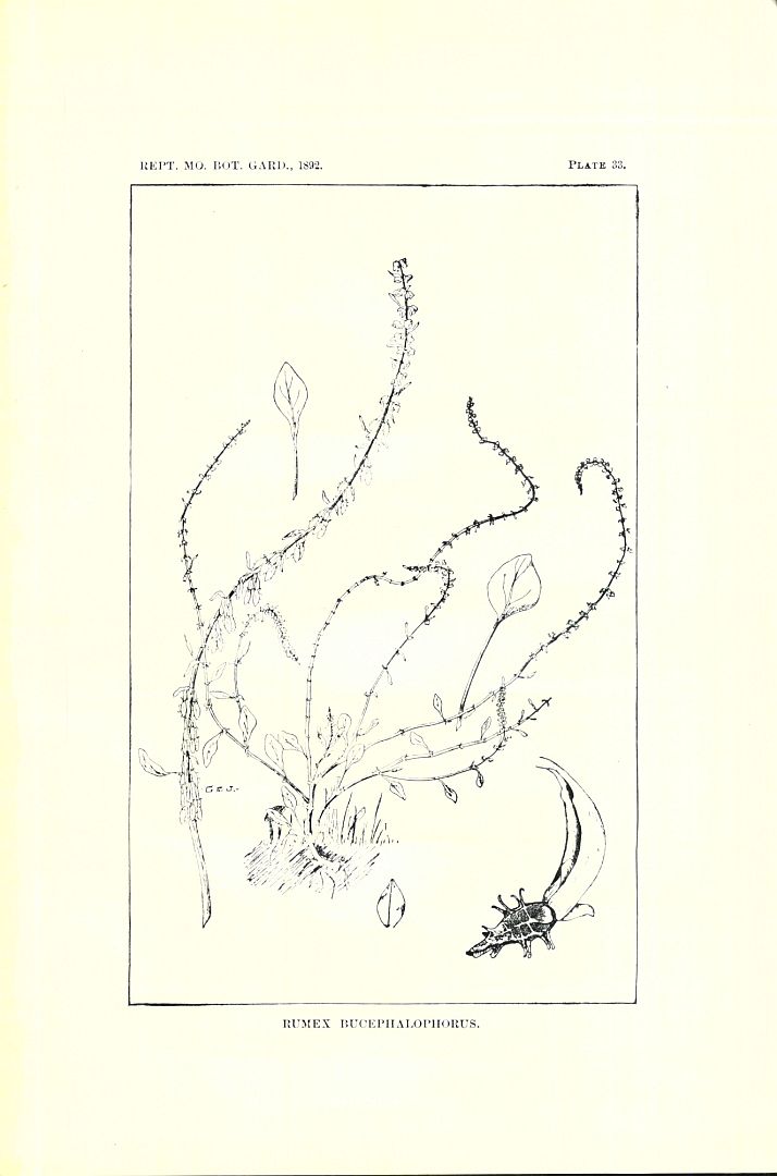 no HD illustration available (m1)