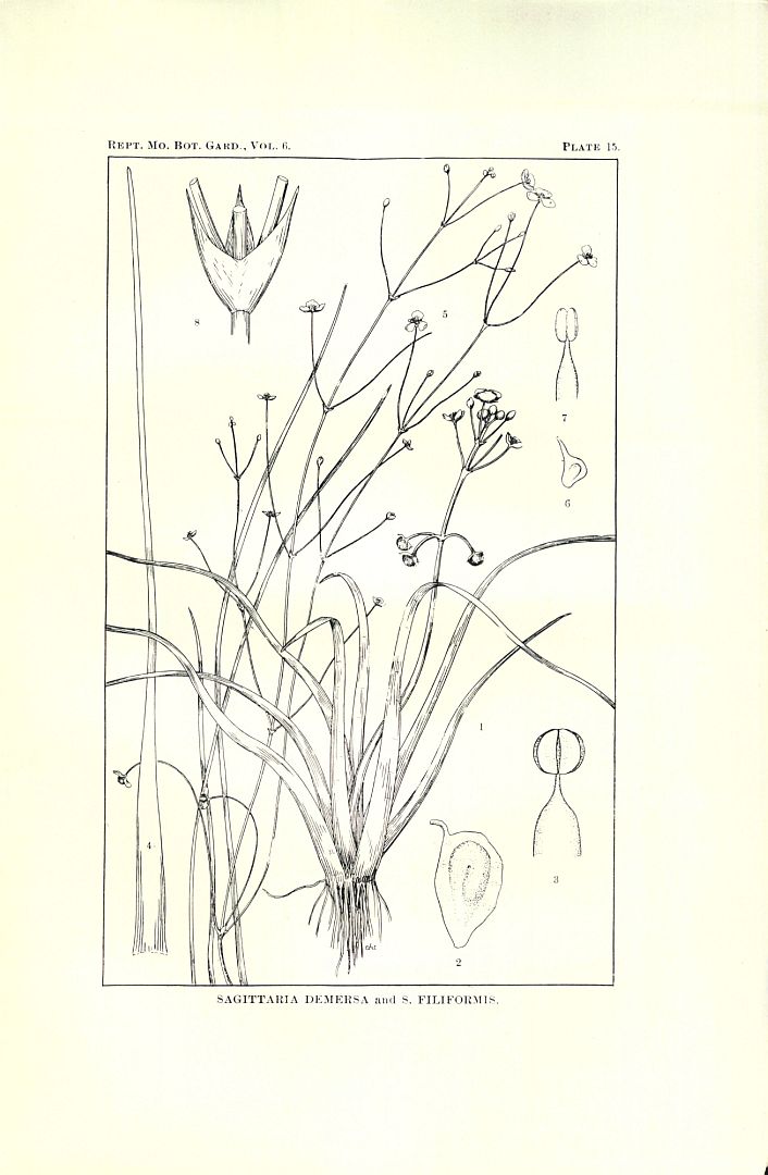 no HD illustration available (m5)