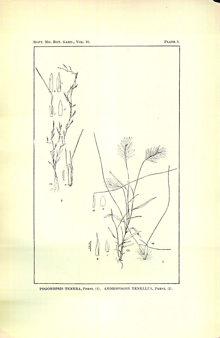 no HD illustration available (m5)