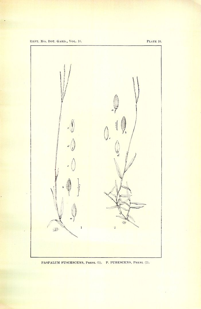 no HD illustration available (m5)