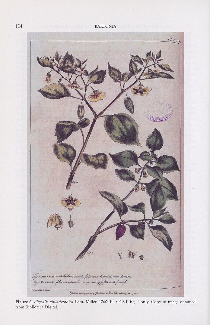 no HD illustration available (m5)