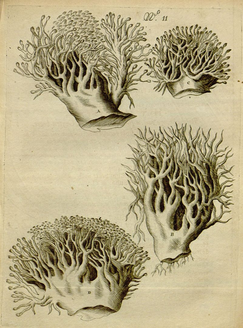 no HD illustration available (m5)