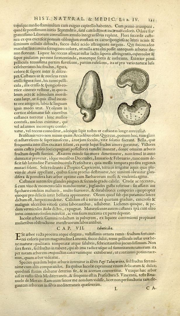 no HD illustration available (m5)