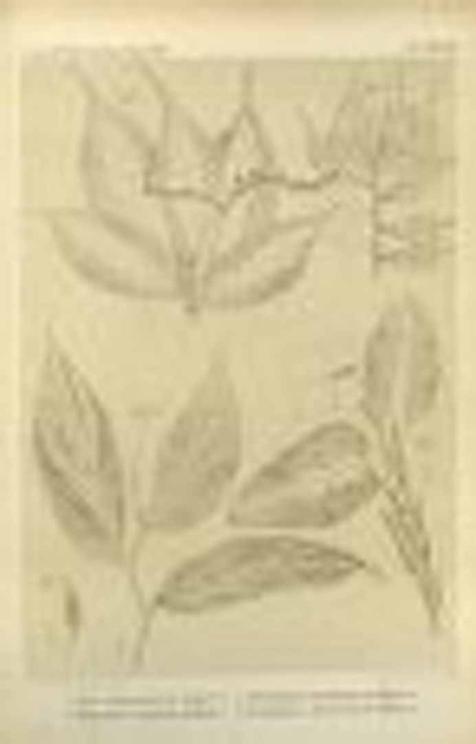 no HD illustration available (m5)