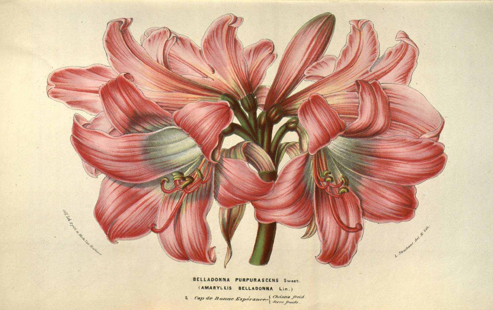 no HD illustration available (m5)