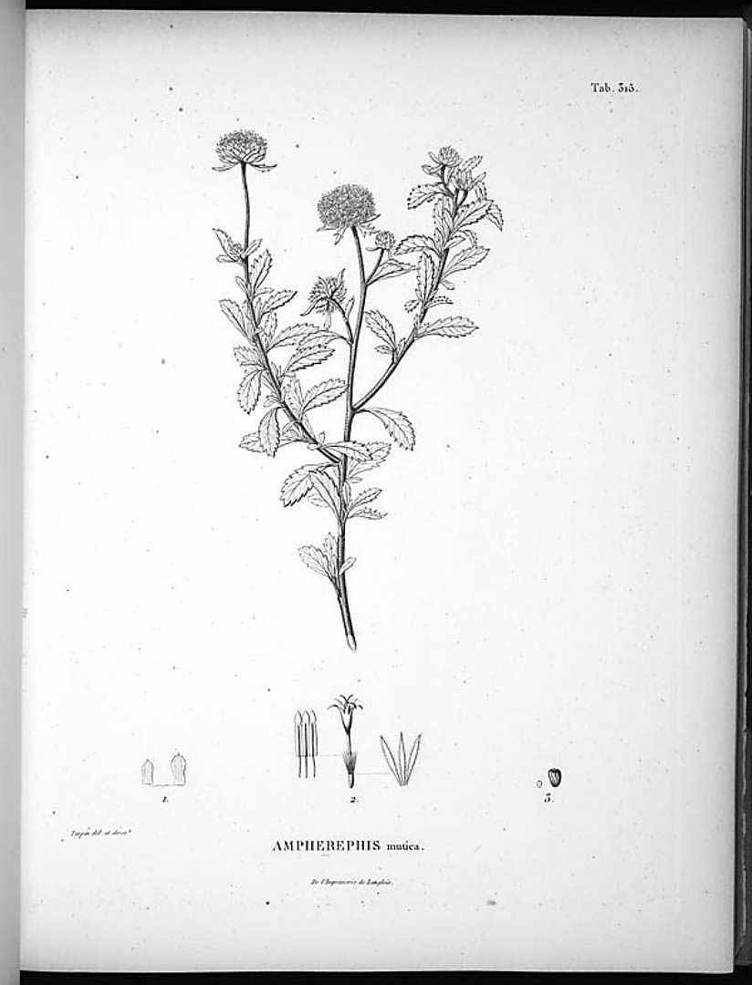 no HD illustration available (m5)