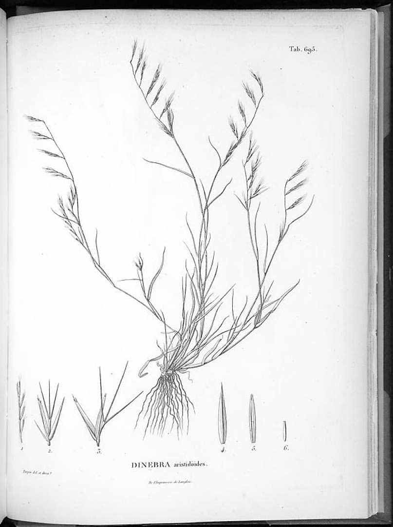no HD illustration available (m5)