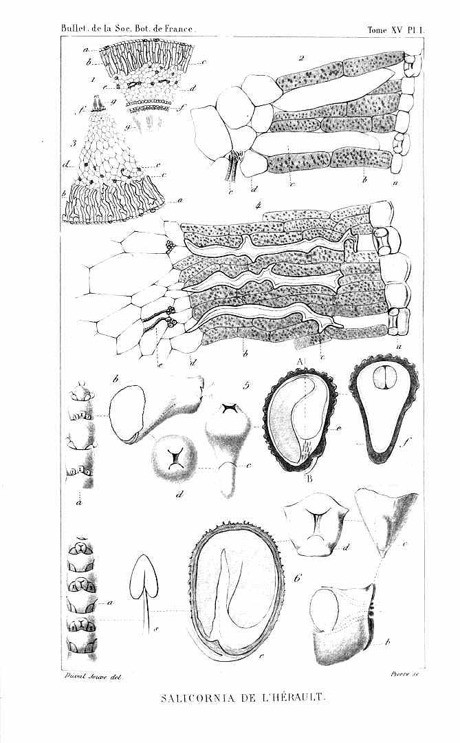 no HD illustration available (m5)