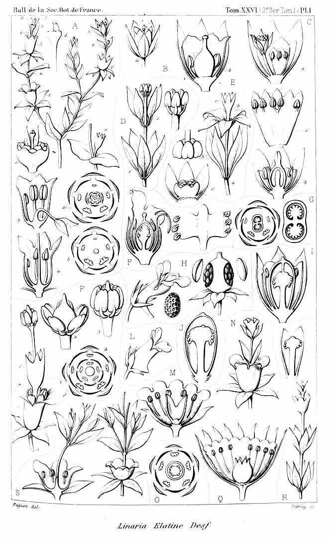 no HD illustration available (m5)