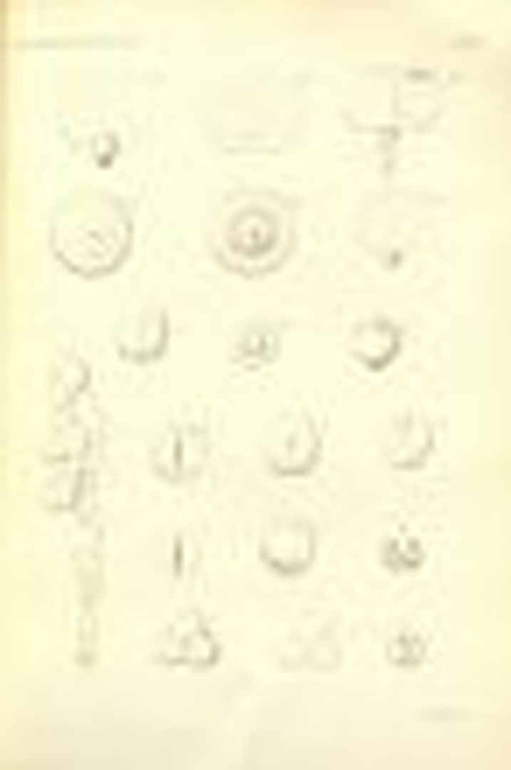 no HD illustration available (m5)