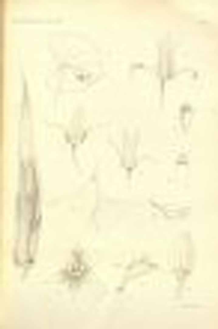 no HD illustration available (m1)
