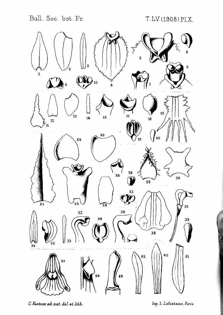 no HD illustration available (m5)