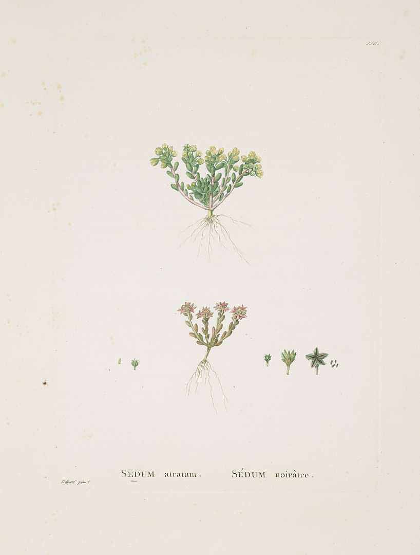 no HD illustration available (m5)