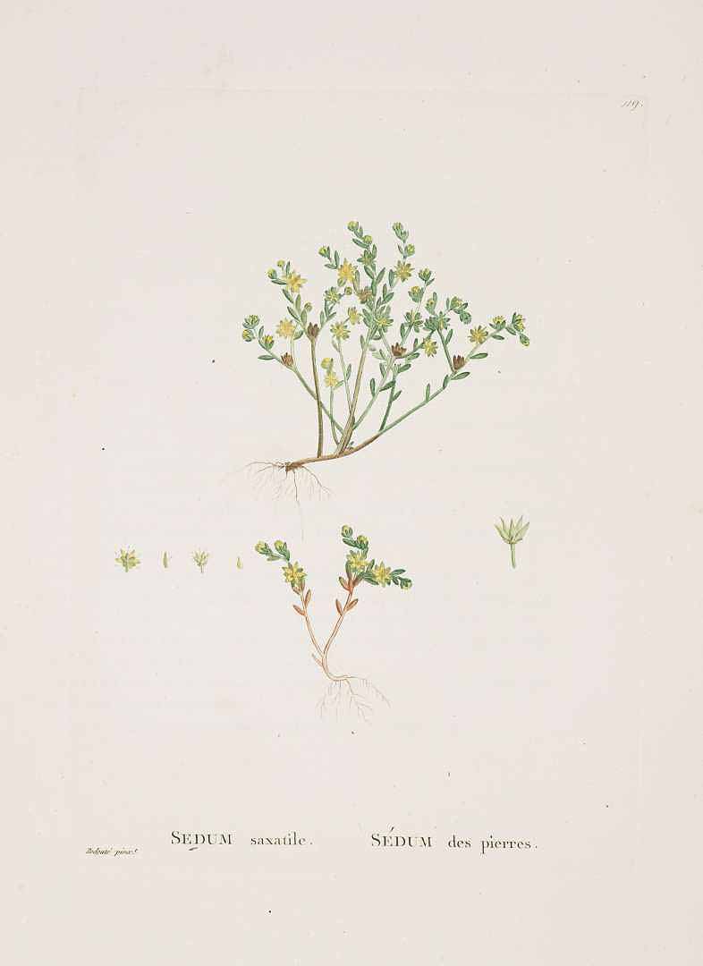 no HD illustration available (m5)