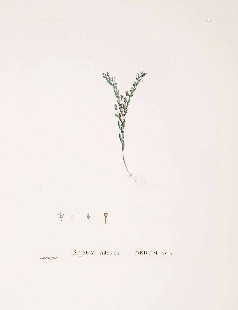 no HD illustration available (m5)