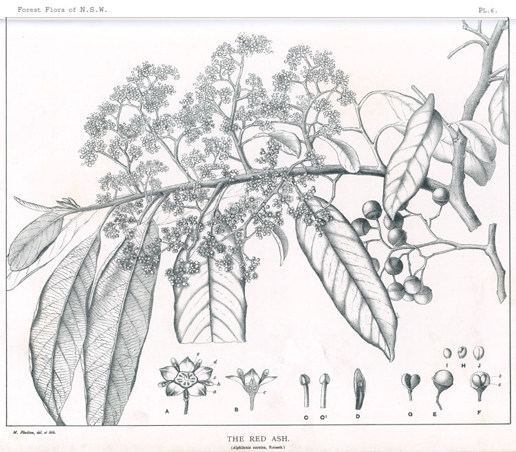 no HD illustration available (m5)