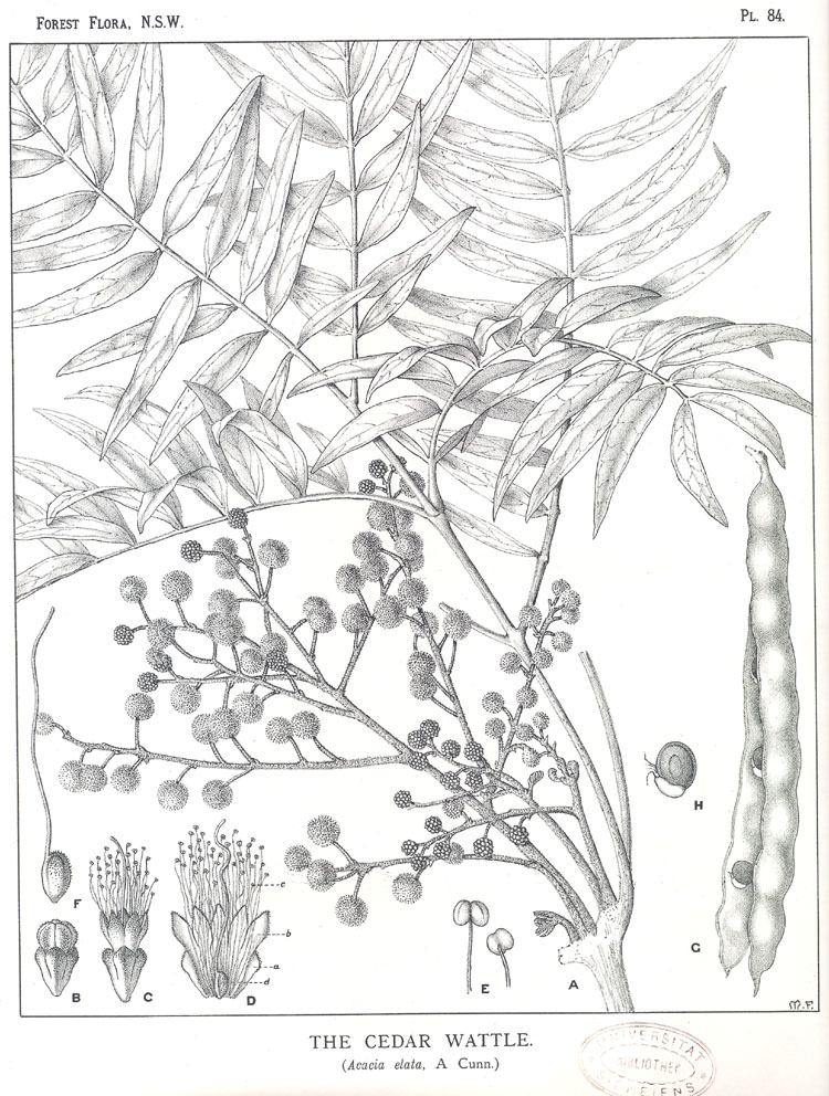no HD illustration available (m5)