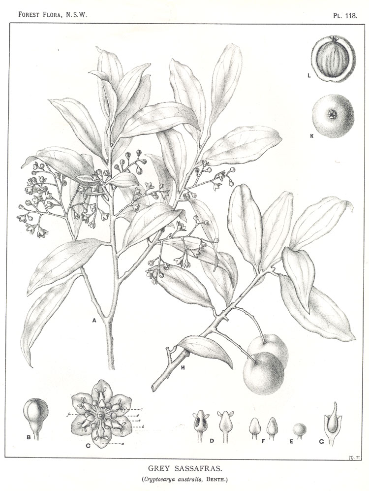 no HD illustration available (m5)