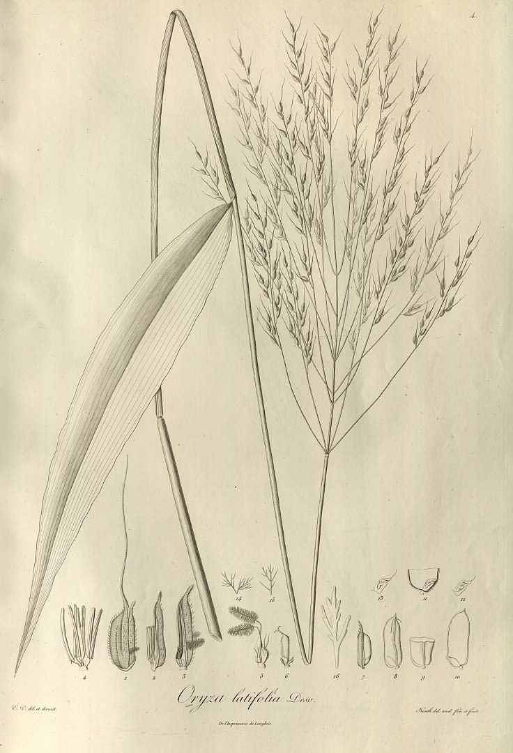 no HD illustration available (m5)