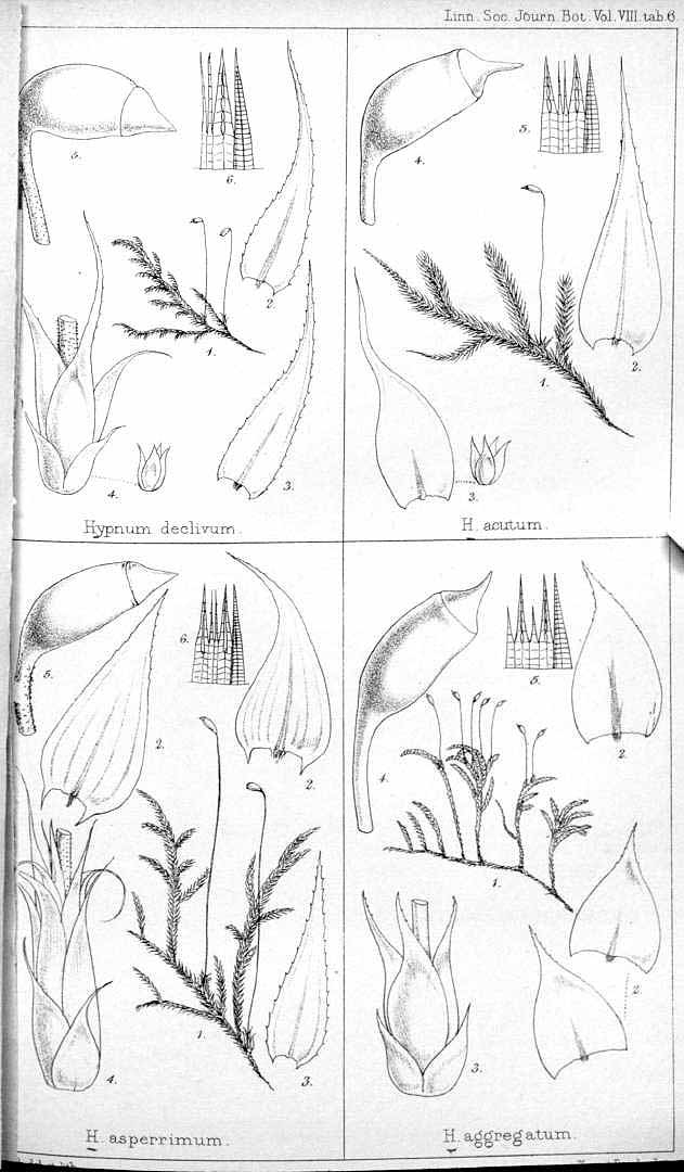 no HD illustration available (m5)