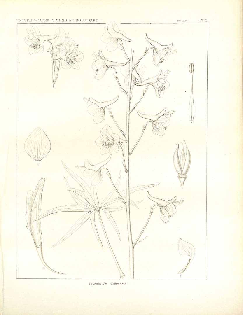 no HD illustration available (m5)