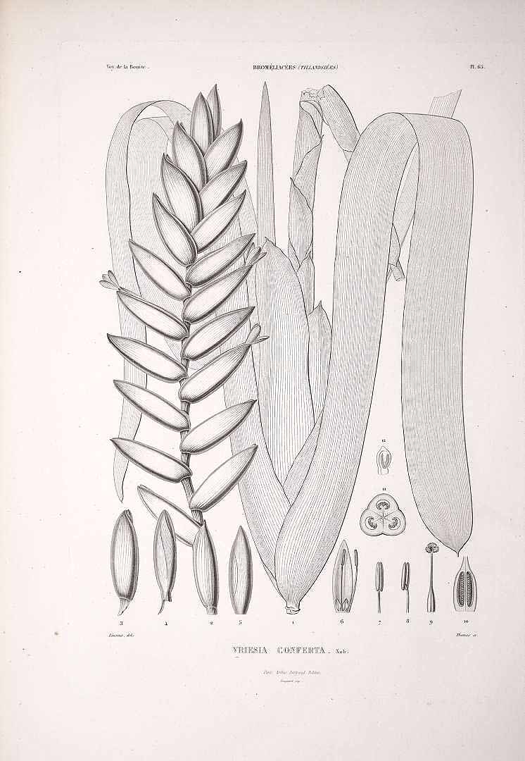 no HD illustration available (m5)