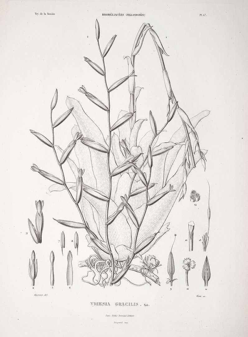 no HD illustration available (m5)