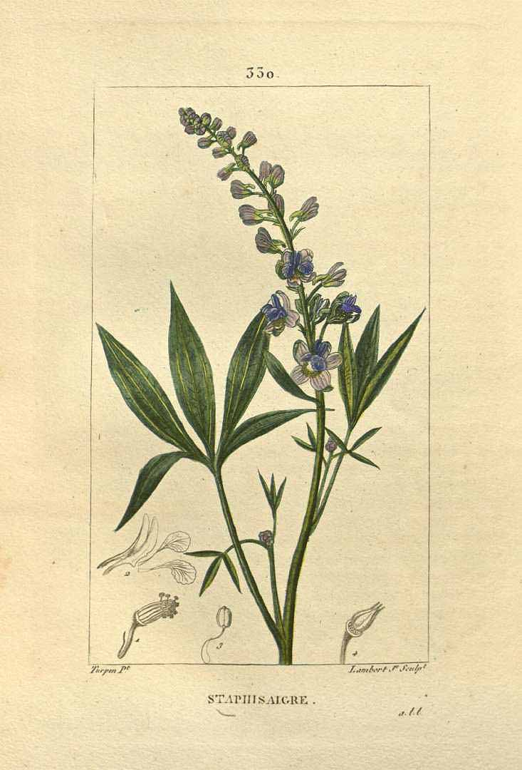 no HD illustration available (m5)
