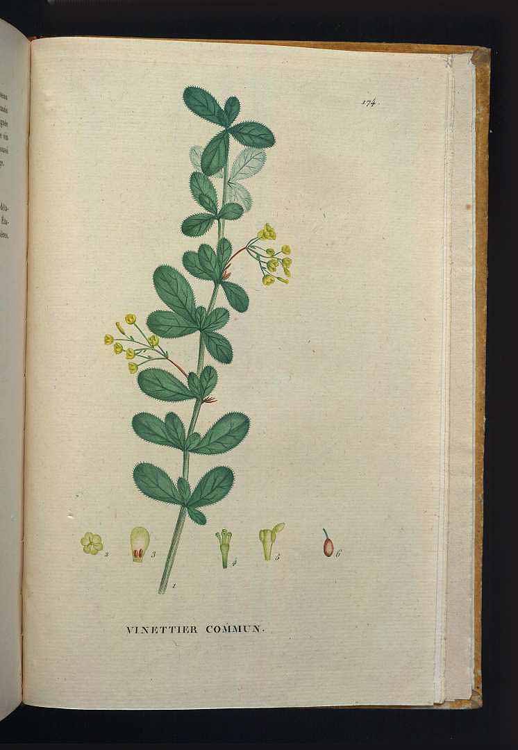 no HD illustration available (m5)