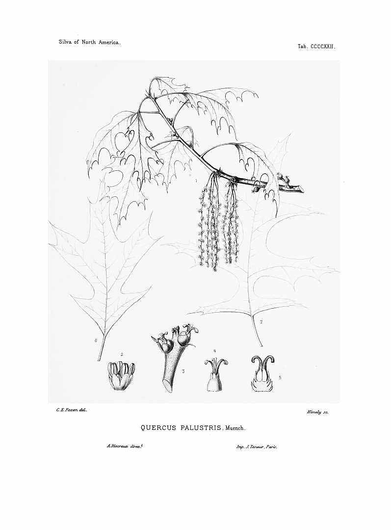 no HD illustration available (m1)