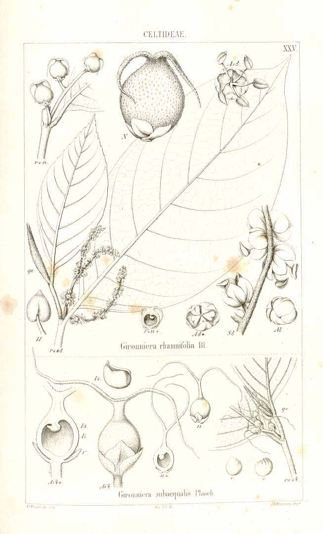 no HD illustration available (3)